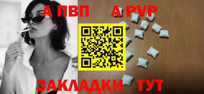 шишки Новодвинск