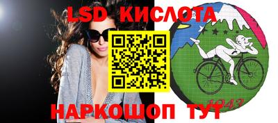 шишки Новодвинск