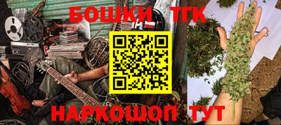 шишки Новодвинск