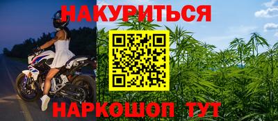 шишки Новодвинск