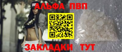 шишки Новодвинск