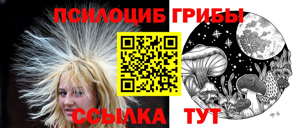 Галлюциногенные грибы ЛСД Тулун